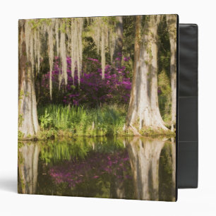 USA, South Carolina, Charleston. Cypress Trees Binder