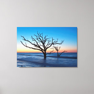 USA, South Carolina, Edisto Island, Botany Bay Canvas Print