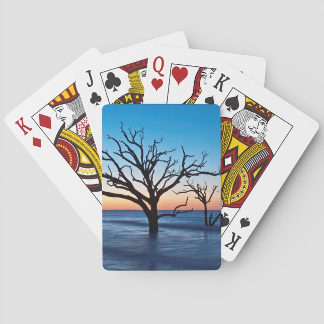 USA, South Carolina, Edisto Island, Botany Bay Playing Cards (Back)
