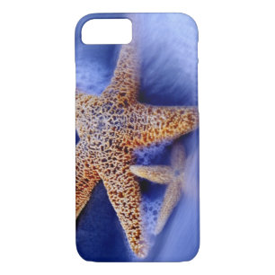 USA, South Carolina, Hilton Head Island. Two iPhone 8/7 Case