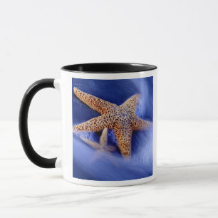 USA, South Carolina, Hilton Head Island. Two Mug