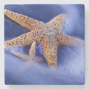 USA, South Carolina, Hilton Head Island. Two Stone Coaster