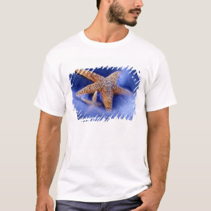 USA, South Carolina, Hilton Head Island. Two T-Shirt