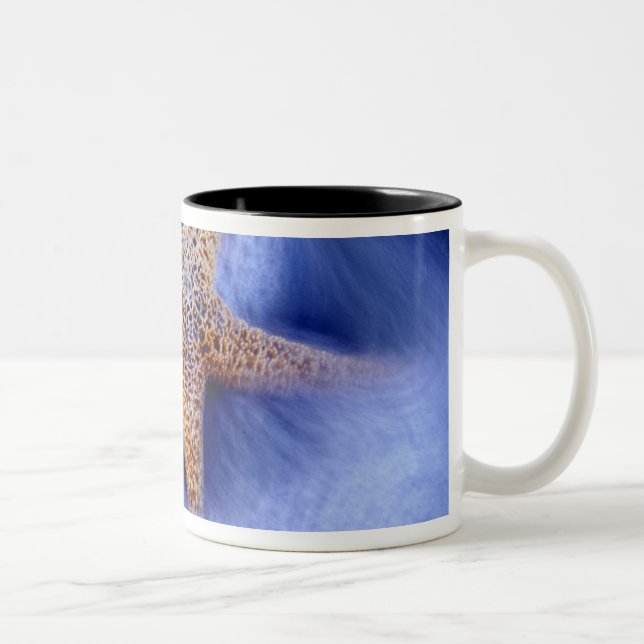 USA, South Carolina, Hilton Head Island. Two Two-Tone Coffee Mug (Right)