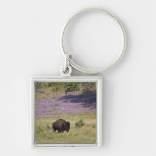 USA, South Dakota, American bison (Bison bison) Keychain