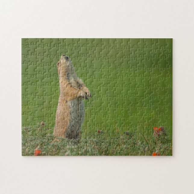 USA, South Dakota, Custer State Park Jigsaw Puzzle (Horizontal)