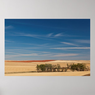 USA, South Dakota, Murdo, Prairie Landscape Poster