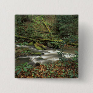 USA, Tennessee. Big South Fork National River 2 Inch Square Button
