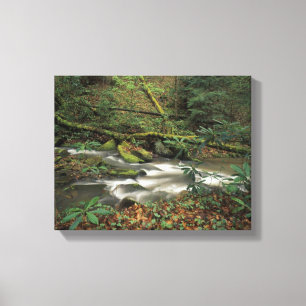 USA, Tennessee. Big South Fork National River Canvas Print