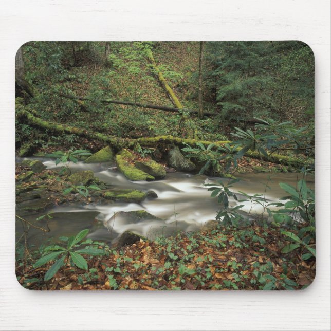USA, Tennessee. Big South Fork National River Mouse Pad (Front)