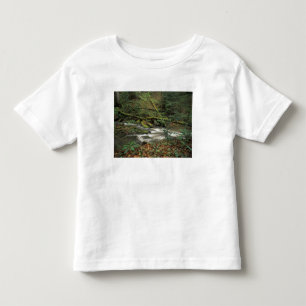 USA, Tennessee. Big South Fork National River Toddler T-shirt