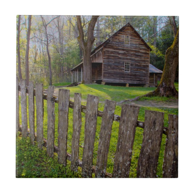 USA, Tennessee, Cabin In Cades Cove Tile (Front)