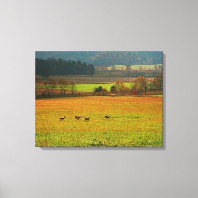 USA, Tennessee. Cades Cove In Smoky Mountain 2 Canvas Print (Front)