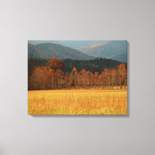 USA, Tennessee. Cades Cove In Smoky Mountain Canvas Print