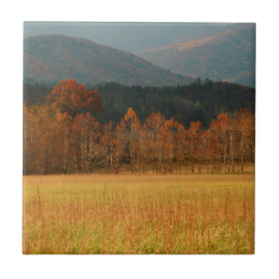 USA, Tennessee. Cades Cove In Smoky Mountain Tile