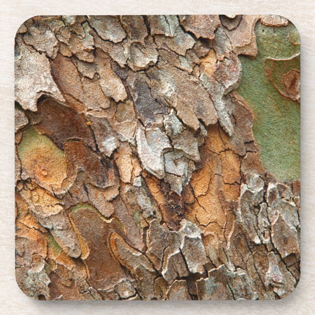 USA, Tennessee, Close Up Of Bark On A Tree Coaster (Front)