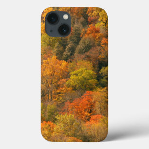 USA, Tennessee. Fall Foliage 2 iPhone 13 Case