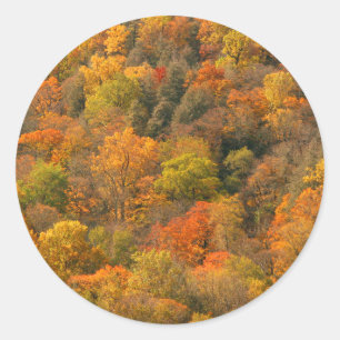 USA, Tennessee. Fall Foliage 2 Classic Round Sticker