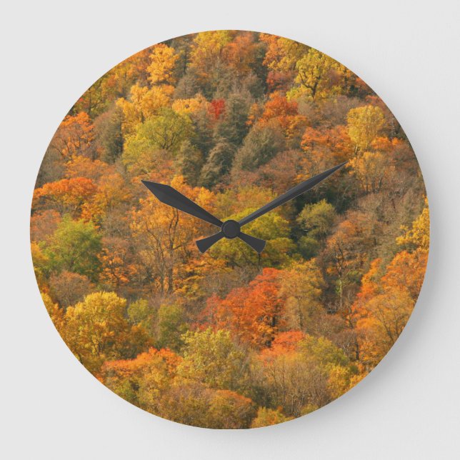 USA, Tennessee. Fall Foliage 2 Large Clock (Front)