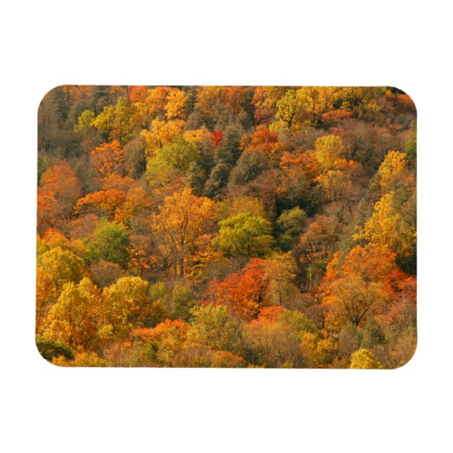 USA, Tennessee. Fall Foliage 2 Magnet (Horizontal)