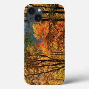 USA, Tennessee. Fall Foliage iPhone 13 Case
