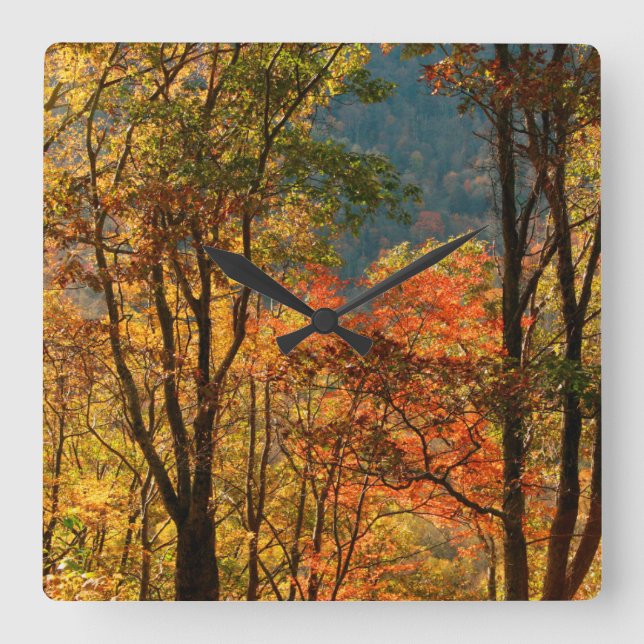 USA, Tennessee. Fall Foliage Square Wall Clock (Front)