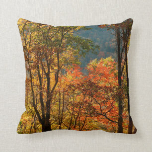 USA, Tennessee. Fall Foliage Throw Pillow
