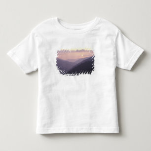 USA, Tennessee. Great Smokey Mountains 2 Toddler T-shirt