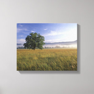 USA, Tennessee. Great Smokey Mountains 3 Canvas Print