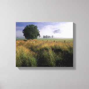 USA, Tennessee, Great Smokey Mountains Canvas Print