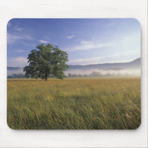 USA, Tennessee. Great Smokey Mountains Mouse Pad