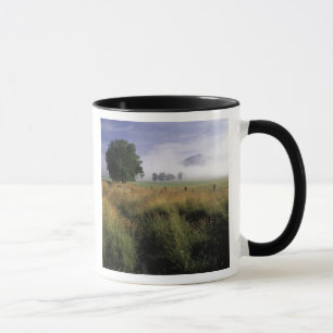 USA, Tennessee, Great Smokey Mountains Mug
