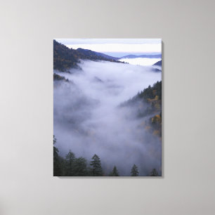 USA, Tennessee. Great Smokey Mountains National Canvas Print