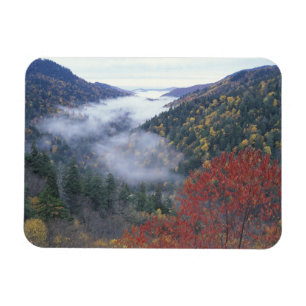 USA, Tennessee, Great Smokey Mountains National Magnet