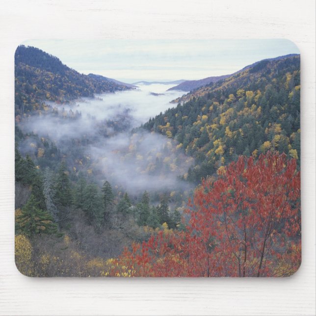 USA, Tennessee, Great Smokey Mountains National Mouse Pad (Front)
