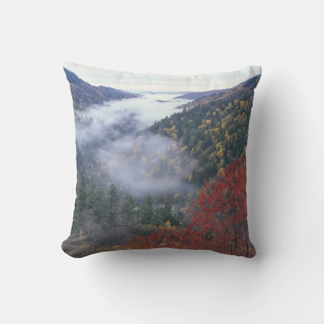USA, Tennessee, Great Smokey Mountains National Throw Pillow (Front)