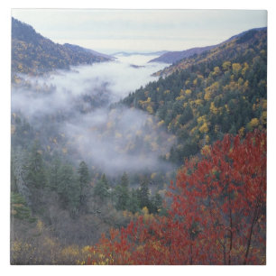 USA, Tennessee, Great Smokey Mountains National Tile