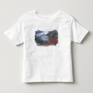 USA, Tennessee, Great Smokey Mountains National Toddler T-shirt