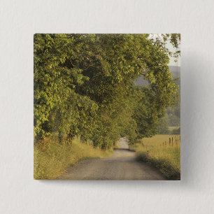 USA, Tennessee, Great Smoky Mountains National 2 Inch Square Button