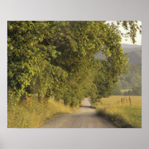 USA, Tennessee, Great Smoky Mountains National 2 Poster
