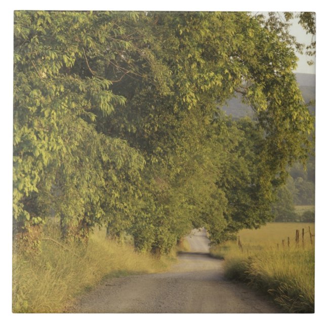 USA, Tennessee, Great Smoky Mountains National 2 Tile (Front)