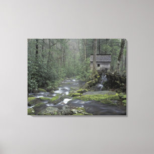 USA, Tennessee, Great Smoky Mountains National 3 Canvas Print