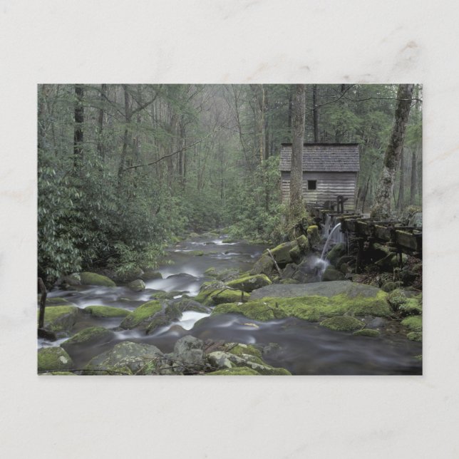 USA, Tennessee, Great Smoky Mountains National 3 Postcard (Front)