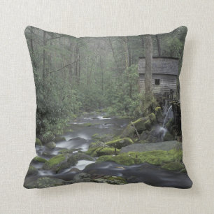 USA, Tennessee, Great Smoky Mountains National 3 Throw Pillow