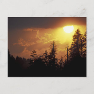 USA, Tennessee, Great Smoky Mountains NP. 2 Postcard