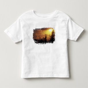 USA, Tennessee, Great Smoky Mountains NP. 2 Toddler T-shirt