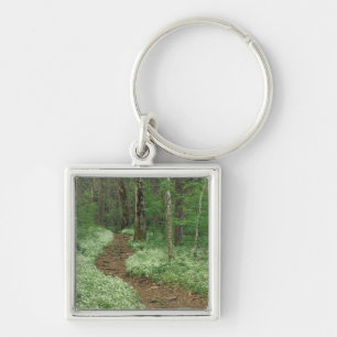 USA, Tennessee, Great Smoky Mountains NP, 3 Keychain