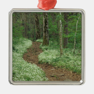 USA, Tennessee, Great Smoky Mountains NP, 3 Metal Ornament
