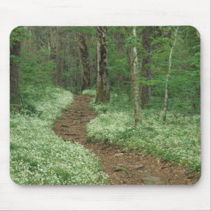 USA, Tennessee, Great Smoky Mountains NP, 3 Mouse Pad