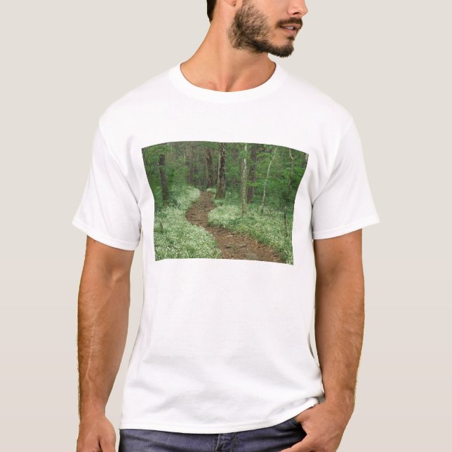 USA, Tennessee, Great Smoky Mountains NP, 3 T-Shirt (Front)